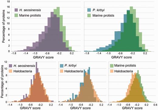 GRAVY score distributions of predicted cytoplasmic soluble proteins of halophilic protists, marine protists, and Halobacteria. On top, distributions of halophilic protists are significantly shifted toward hydrophilic values compared with homologous proteins from marine protists (Mann–Whitney U test, P < 0.0001). On the bottom, distributions of Haloc. seosinensis and P. kirbyi are slightly shifted toward hydrophilic values compared with the ones of Halobacteria (Whitney, P < 0.02), whereas the distribution for marine protists is significantly shifted toward more hydrophobic values compared with the distribution for Halobacteria (Mann–Whitney U test, P < 0.0001).
