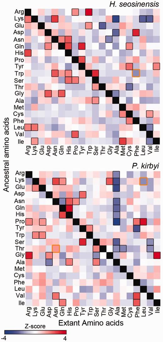 Occurrence of substitutions from predicted ancestral amino acids (on the left of matrices) to extant residues (at bottom of matrices) in halophilic protists at fastest-evolving sites of the Mandor superalignment. Amino acids are ordered from most hydrophilic to most hydrophobic. Each square is colored according to Z -score where blue represents substitutions that occurred less often in halophiles compared with the other taxa and red represents substitutions that occurred more often in halophiles. Boxed squares refer to Z -scores with P < 0.05 (in black P values corrected for multiple testing, in orange P values that were significant prior to correction).