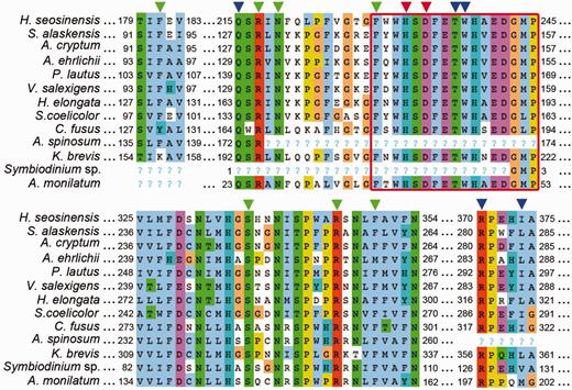Alignment of ectoine hydroxylase including sequences of characterized enzymes from Sphingopyxis alaskensis (WP_011543221), for which the crystal structure is available, Acidiphilum cryptum (AER00256), Alkalilimnicola ehrlichii (AER00257), Paenibacillus lautus (ACX67869), Virgibacillus salexigens (AAY29689), Halomonas elongata (WP_013333764) and Streptomyces coelicolor (Q93RV9), and sequences from the protists Haloc. seosinensis, Ceratium fusus (CAMPEP_0172939100), Az. spinosum (concatenation of CAMPEP_0180530970, CAMPEP_0180661784 and CAMPEP_0180535134), Karenia brevis (CAMPEP_0178068410), Symbiodinium sp. (CAMPEP_0169646080) and Alexandrium monilatum (CAMPEP_0175754634). Arrowheads indicate residues involved in binding iron (red), 2-oxoglutarate (green), and 5-hydroxyectoine (blue). The consensus sequence of ectoine hydroxylase (FXWHSDFETWHXEDG-M/L-P) is squared in red. “?” indicates missing data for partial sequences.