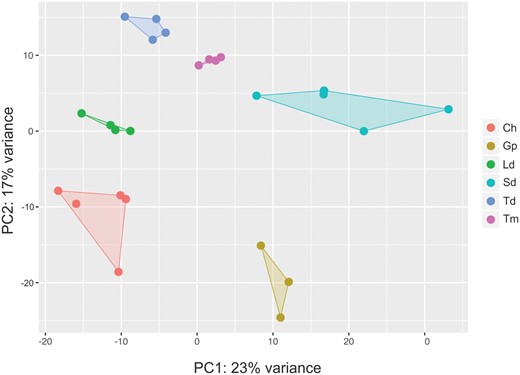 —Principal component analysis (PCA) of the normalized expression counts of 23,300 O. niloticus annotated genes in 25 RNA-seq samples.