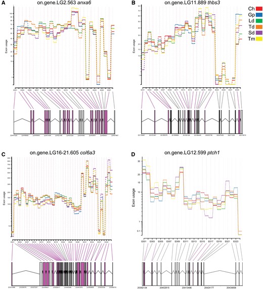 —Gene models depicting alternative splicing patterns of genes. Exon usage was used to measure exon expression after normalizing for total gene expression biases. Significant differentially expressed exons are coloured in magenta (p.adjust < 0.05).