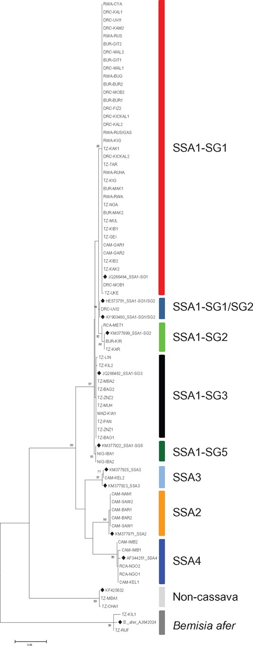 —Maximum Likelihood phylogenetic tree constructed using mtCOI sequences obtained from Bemisia tabaci (cassava and noncassava haplotypes) and B. afer adults sampled between 2009 and 2015 from eight countries in Africa, including reference sequences from GenBank (♦) for comparison.