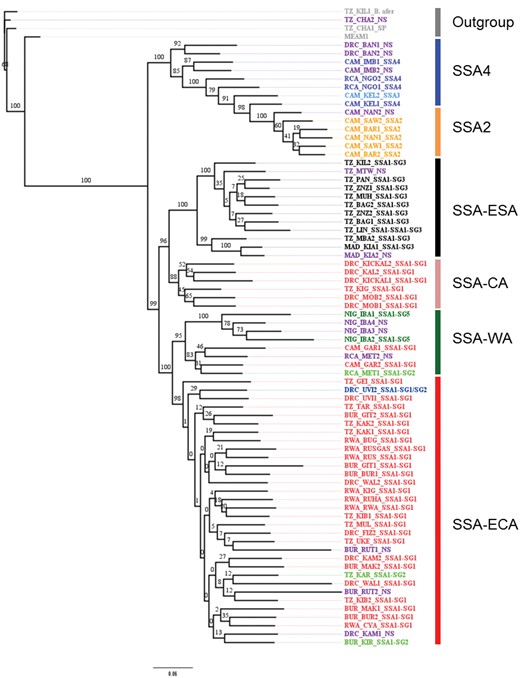 —Maximum Likelihood phylogenetic tree constructed based on SNPs (7,453) generated by NextRAD sequencing of Bemisia tabaci (cassava and noncassava haplotypes) and B. afer adults sampled between 2009 and 2015 from eight countries in Africa. Samples are designated in different colors representing their grouping based on mtCOI sequencing, those with an NS designation at the end were not successfully sequenced using the mtCOI locus.