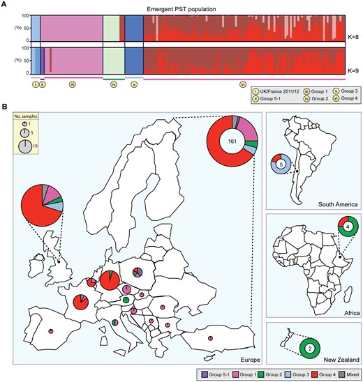 —The emergent European Puccinia striiformis lineages were detected on a global scale. (A) A list of 70,712 synonymous SNP sites of which 70,565 were biallelic were used to define subdivisions within the population using multivariate discriminant analysis of principal components (DAPC) of the 172 P. striiformis isolates belonging to the “Emergent PST population.” The optimal predicted number of population clusters K for this data set was eight to nine, giving rise to six clearly definable genetic groups that consisted of 1) the four genetic groups that were previously identified in the United Kingdom in 2013 (Groups iii, iv, v, and vi); 2) a group containing P. striiformis isolates from the United Kingdom sourced in 2011 and 2012 (Group i); and 3) an additional subgroup of Group 1, which gave rise to Group 5-1 (Group ii). Bars represent estimated membership fractions for each individual. (B) The population clusters identified in the “Emergent PST population” were identified across four geographic regions: Europe, Australasia, South America, and Africa. Numbers indicate total number of samples analyzed from that region.