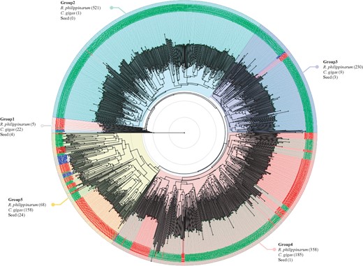 Phylogenetic tree of C1qDC genes. The tree was reconstructed by BLOSUM62 and the Neighbor-Joining methods using the Jalview v2.10.1 program and visualized by using Figtree tool v1.4.3. Each taxon of C1qDC genes in R. philippinarum, C. gigas, and PFam seeds are written in green, red, and blue letter, respectively. A total of 1,589 C1qDC genes were used for this analysis and divided into five groups. The number in brackets indicates the number of C1qDC genes in R. philippinarum, C. gigas, and PFam seeds, clustering to each group.
