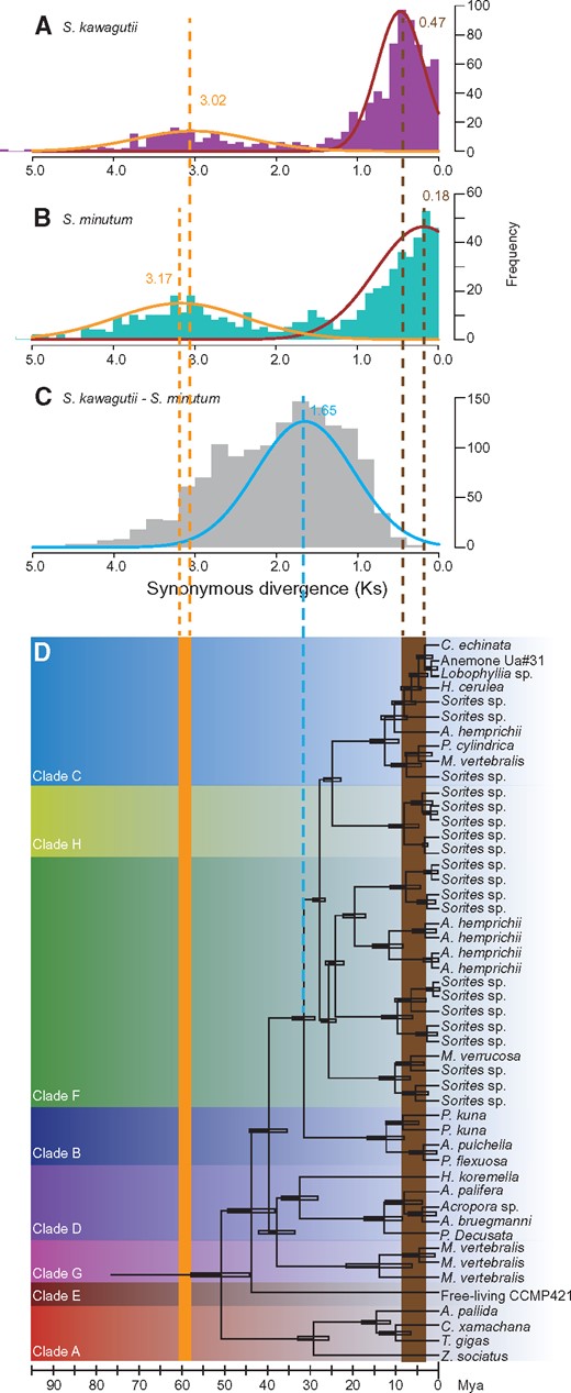 —Two major retroposition events revealed by Ks frequencies of retrogenes in (A)Symbiodinium kawagutii (Ks = 3.02 and 0.47) and (B)S. minutum (Ks = 3.17 and 0.18). (C) Ks frequencies in a comparison of S. kawagutii versus S. minutum (Ks = 1.65). (D) Phylogenetic tree and age of different Symbiodinium strains (adapted from Pochon etal. 2006) named by their coral hosts. The empty box at each node represents ± one standard deviation around divergence age.
