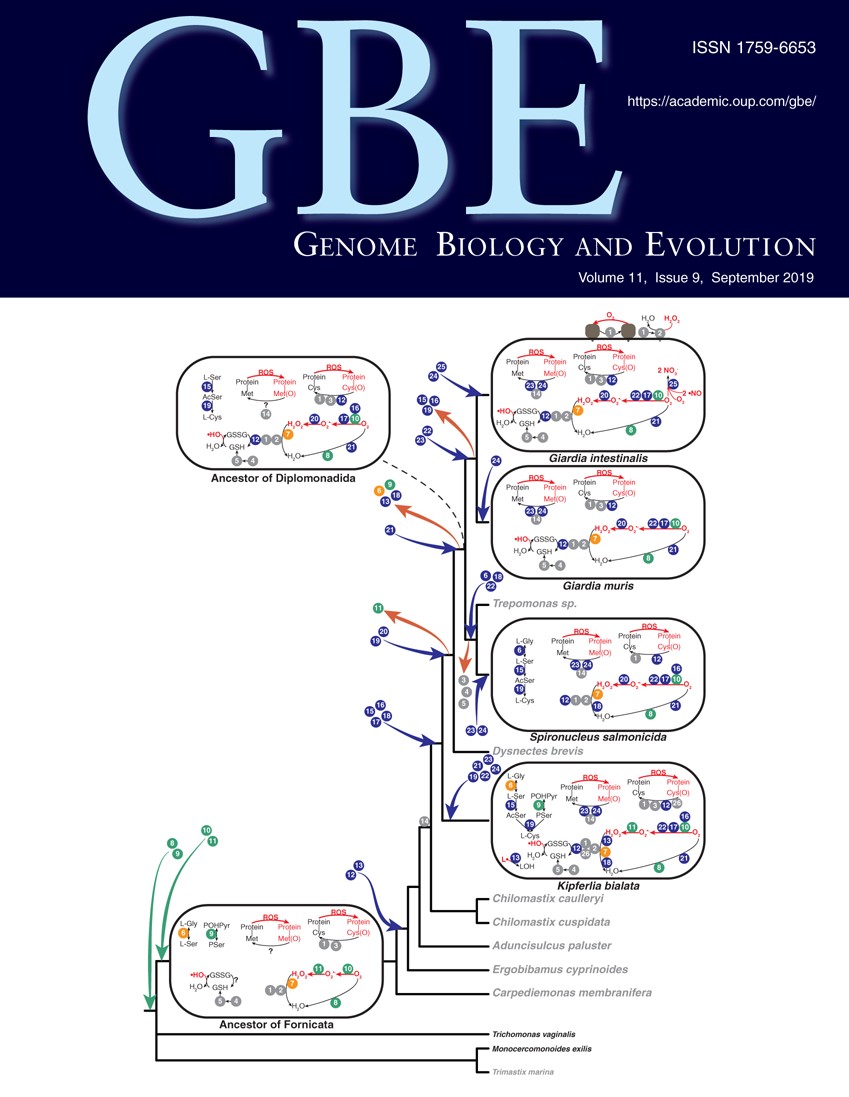 issue cover