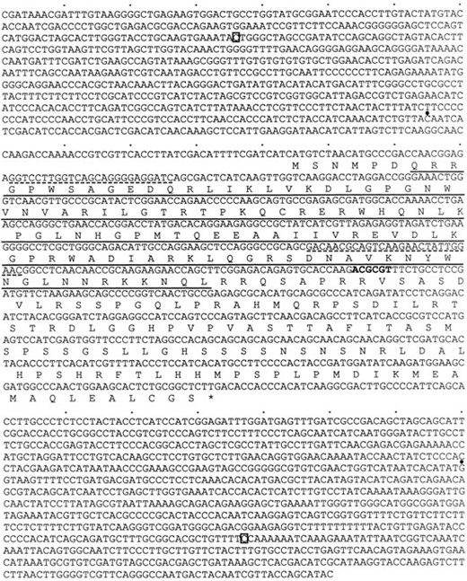 The DNA sequence of the rca-1 genomic region and the predicted RCA-1 amino acid sequence. The Myb-like DNA binding domain is underlined. The ends of the cDNA clone (pWC2) are indicated by large dots above the nucleotides. The 5′ and 3′ deletion junctions produced by exonuclease III digestion from the MluI site (bold type) are indicated by boxed nucleotides. The hygromycin phosphotransferase gene replaces the deleted region in the gene replacement vector pWC5. The locations of the degenerate oligonucleotides used for amplification are shown by dashed underlines.