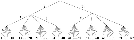 82-species tree used in simulation. The lengths of the internodal branches in the tree are all equal to t, which was set in the simulation such that Kd = 1.8 between sequences 1 and 82.