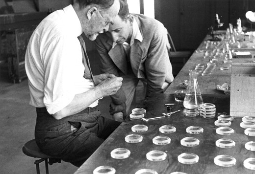Morgan and Tyler (and Syracuse dishes) at the Kerckhoff Marine Laboratory in 1931 (Courtesy of the Archives, California Institute of Technology).