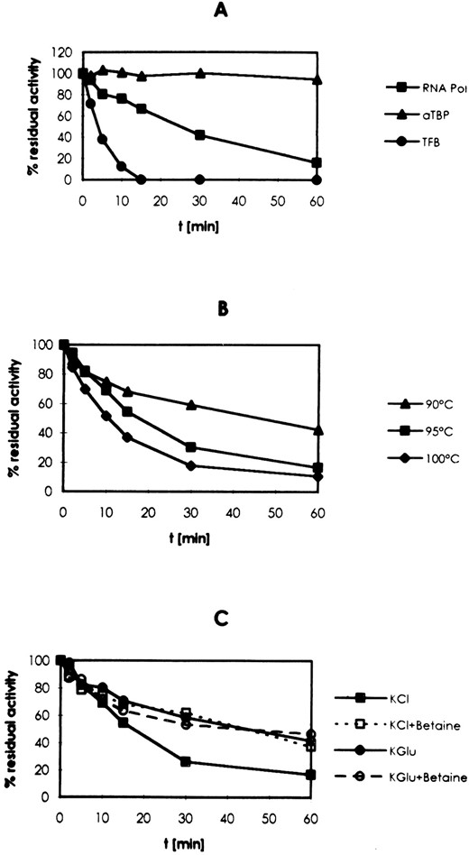 —Activity of aTBP, TFB, and RNA polymerase after preincubation at extreme temperatures. Proteins were incubated individually (A; 100°) or in combination (B and C) in 25-μl transcription reactions (A-C; materials and methods) not containing DNA and NTPs. After preincubation at the temperatures indicated, the activity of the components was determined in transcription reactions. (C) Preincubation was performed at 95°. The concentrations of salts and betaine used for preincubation reactions were as follows: 250 mm KCl (KCl), 1 m betaine (betaine), 400 mm K-glutamate (KGlu). RNA products separated as indicated in Figure 1 were quantitated by densitometry.