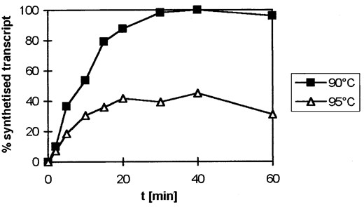 —Kinetics of in vitro transcription at 90° and 95°. Transcription reactions were conducted in the presence of 400 mm K-glutamate and 1 m betaine. RNA products were identified by primer extension. Labeled cDNA was separated on 8% denaturing PA gels, and autoradiograms were quantified by densitometry.