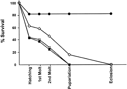A death curve of krz mutants. Animals were selected as late-stage embryos and allowed to develop. The percentage of homozygous mutant animals that survived the indicated developmental events are shown. The genotypes are as follows: wild type, solid circles; krz1, open triangles; krz2, solid squares; modlethal8, open diamonds.