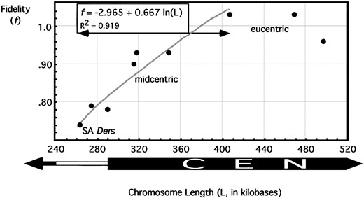 Stabilities of chromosome derivatives through single mitoses. Brooding analyses were done on structurally acentric derivatives, as well as on derivatives with partially deleted centromeres and derivatives with fully intact centromeres. Exponential, logarithmic, and linear regressions were performed to give the best fit curve of data within the range of arrow (gray line, f = −2.965 + 0.667 ln L; R2 = 0.919). x-axis shows chromosome size in kilobases, and y-axis gives probability of a chromosome successfully transmitting through a single germline stem cell division.