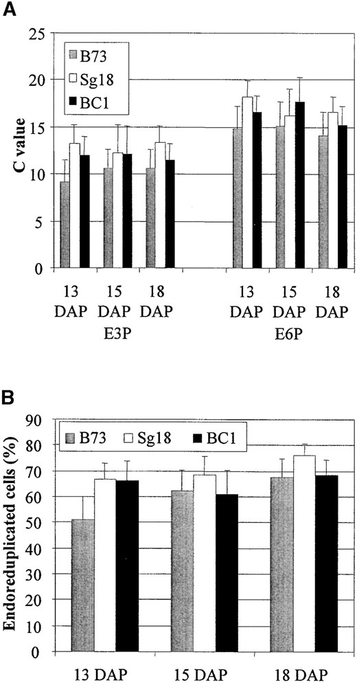 Measurement of ploidy level in B73, Sg18, and their BC1 endosperms at 13 to 18 DAP. (A) The E3P and E6P values indicate the mean ploidy and mean ploidy of endoreduplicated cells in the endosperms, while the error bars show the standard deviations of these measurements. (B) The %E indicates the frequency of cells with >3 C DNA content, while the error bars show the standard deviations of these measurements.