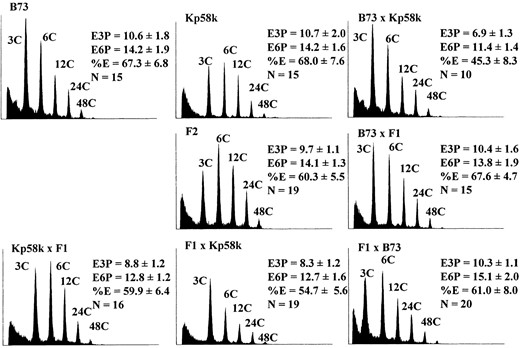 Flow cytometric phenotypes of eight B73 × Kp58k generations. Measurements and histogram selection were carried out as described in Figure 3, except that means and standard errors are from no fewer than 10 kernels.