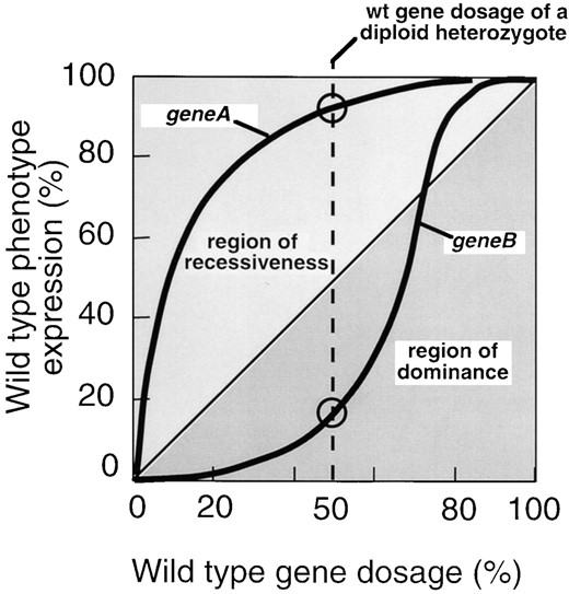 —Scheme explaining dominance, semidominance, or recessiveness of a mutant allele in a diploid heterozygote on the basis of gene dosage-effect relationships. When the degree of wild-type phenotype expression is plotted against the gene dosage (wild-type level corresponds to 100%), a gene dosage-effect curve results, the shape of which may differ from gene to gene. Examples for two hypothetical genes A and B are shown, the null mutations of which are recessive (A–) or dominant (B–) in the heterozygous situation. To which degree a given null mutation is dominant or recessive depends on the degree of phenotype expression at 50% wild-type gene dosage as determined by the gene dosage-effect curve.