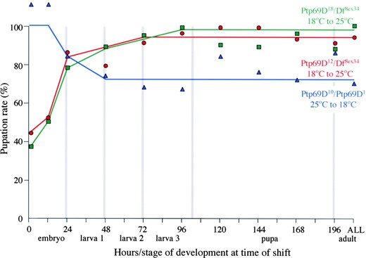 —Temperature dependence of larval survival. The pupation rates of Ptp69D10/Ptp69D1 animals raised initially at 25° and then shifted to 18° and Ptp69D12/Df(3L)8ex34 and Ptp69D18/Df(3L)8ex34 animals grown initially at 18° and then shifted to 25° are shown in blue, red, and green, respectively. The developmental stage and hours of development (25° equivalent) at the time of temperature shift are indicated along the x-axis. The percentage of mutants that formed pupae is indicated on the y-axis.