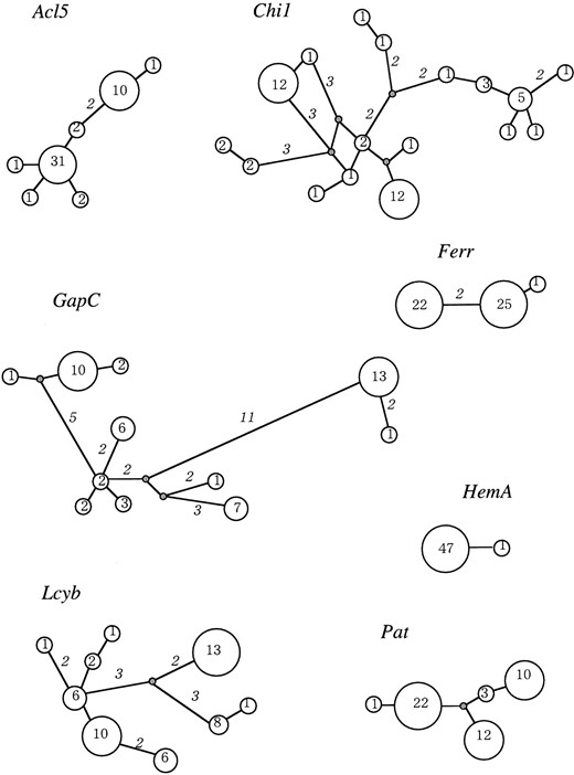 —Haplotype networks. Numbers in circles denote numbers of haplotypes. Italic numbers on the branches denote nucleotide substitutions between connected haplotypes, and branches without numbers have single substitutions.