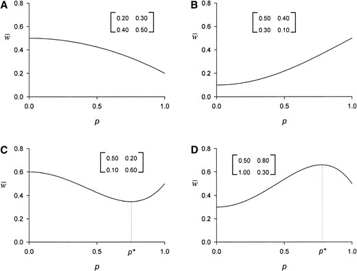 —Mean fitness, w̄(p), as a function of the frequency, p, of the recessive allele, A1, for four sets of pairwise fitnesses (dij) shown in the associated matrices. We characterize these respective shapes as (A) \, (B) /, (C) ∪, and (D) ∩. The critical point, p*, shown in C and D is defined in (11).
