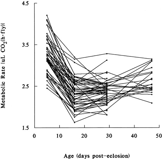 Average age-specific metabolic rate (measured as CO2 production) in individual male flies from 53 recombinant inbred lines of D. melanogaster. Metabolic rates decline sharply in the first 2 weeks of adult life and generally show less age-related change at older ages. Nonparallel lines indicate significant genotype × age interaction.