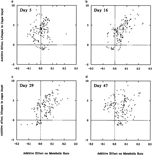 Additive genetic effects for adult male life span and metabolic traits in recombinant inbred lines of D. melanogaster. Additive genetic effects on life span in population cages are plotted against additive effects on (a) metabolic rate, day 5; (b) metabolic rate, day 16; (c) metabolic rate, day 29; and (d) metabolic rate, day 47. At the intermediate ages chromosomal segments that increase survival also increase metabolism.