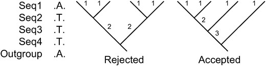 High rejection rate of genealogies when a full mutation frequency spectrum is considered. One mutation (A → T) of size 3 was observed in four sequences. There are two types of rooted topologies for four sequences. Of the two types, only the second one can explain the data because it has a branch of size 3. Therefore, 33.3% (Tajima 1983) of the simulated random genealogies are inconsistent with the observed data.
