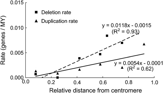 Linear regressions of locus deletion rate and locus duplication rate in six intervals along the average wheat chromosome arm, each 0.17 of the average chromosome arm long, against relative physical distance of the interval from the centromere. The centromere is at 0.0 on the horizontal axis and the telomere is at 1.0. An equation fitting each set of data and its R2 is shown.