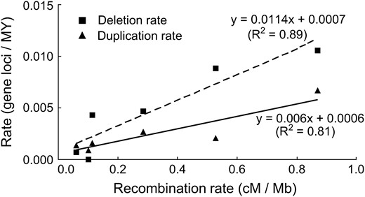 Linear regressions of locus deletion rate and locus duplication rate in six intervals along the average wheat chromosome arm, each 0.17 of the average wheat chromosome arm long, against recombination rate. An equation fitting each set of data and its R2 is shown.