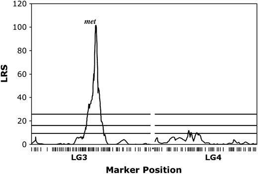 LRS plot for association between segregation of metamorphosis vs. paedomorphosis and marker genotypes in LG3 and LG4. Horizontal lines represent LRS thresholds for suggestive (37th percentile), significant (95th percentile), and highly significant (99.9th percentile) associations (Lander and Kruglyak 1995) estimated using MapMaker QTXb19.