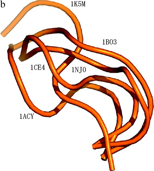 Measured structures of V3 loop and characterization of the locality around the crown region. (a) NMR-based V3-loop structures. The 20 models were superposed by use of the α-helix region (residues 318–330; in dark gray). The crown region is orange. We studied the structural ensemble of the locality consisting of the V3 loop and flanking sites (in green). (b) The five structures of the V3 crown measured in previous work (1CE4, 1NJ0, 1B03, 1ACY, and 1K5M). The three-dimensional coordinates (x, y, z) of the five crowns were set as explained in the main text. (c) Four structural parameters used to characterize the locality around the crown region.