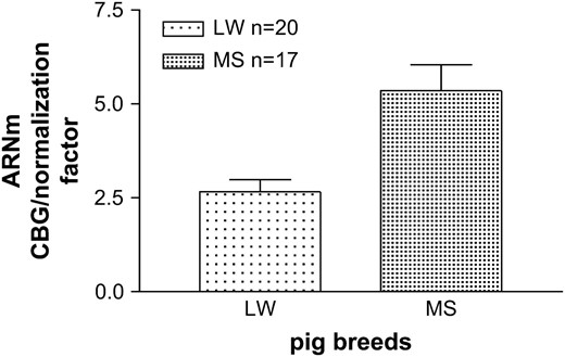 Cbg mRNA expression in liver of LW and MS breeds. Real time RT–PCR of CBG mRNA expression in liver of LW and MS breeds. Cbg mRNA expression was normalized using the expression of three housekeeping genes as normalized factor.