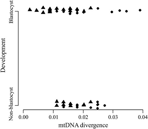 Logistic regression analysis of the relationship between evolutionary distance and development to the blastocyst stage. The evolutionary distance from the donor cell and each embryo was determined following ClustalW alignment of mtDNA sequences and pairwise analysis of sequence variations using DNADIST (see materials  and  methods). The embryos were divided into those that had developed to blastocyst and those that arrested prior to blastocyst (non-blastocyst). Their respective evolutionary distances were plotted and analyzed using the statistical package R. Individual embryos are represented by circles (mtDNA+) and triangles (mtDNAR).