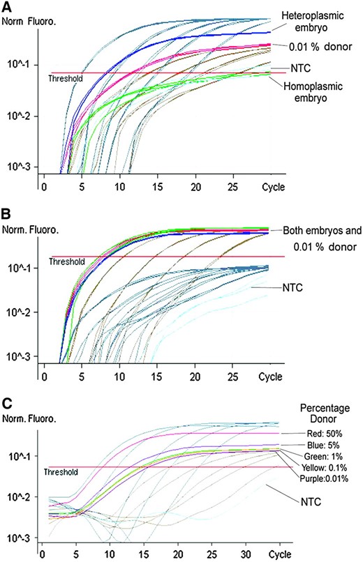 Determination of homoplasmy/heteroplasmy in caprine–ovine NT embryos by AS–PCR. Fluorescence was acquired in both the FAM (A) and the JOE (B) channels for the donor and recipient oocyte alleles, respectively. Each reaction was considered valid only if the 0.01% allele for donor mtDNA was detected in the FAM channel (A). Each sample was analyzed against a set of standards with known molecular concentrations for each allele and a sample containing 0.01% donor allele (A) and 99.99% recipient allele (B: 0.01% donor). In each of A, B, and C, both donor-specific (gray) and recipient-specific (beige) standards are shown. (C) The sensitivity of the reaction to 0.01% was determined by decreasing amounts of the donor-specific allele in relation to the recipient oocyte allele (100:0, 50:50, 5:95, 1:99, 0.1:99.9, 0.01:99.99, and 0:100%). In each channel, the 100% reaction was equivalent to the highest concentration standard for the respective allele. NTC, no template control.