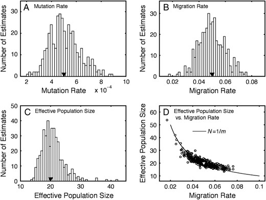 Sampling distributions of parameter estimates. (A) Sampling distribution of estimates of mutation rate, u. (B) Sampling distribution of estimates of migration rate, m. (C) Sampling distribution of estimates of effective population size, N. (D) Estimates of effective population size, N, graphed against estimates of migration rate, m. Estimates are from data simulated under the finite-island model for dioecious populations with k-allele mutation using parameters u = 0.0005, m = 0.05, and N = 20. Triangles denote values of the parameters.