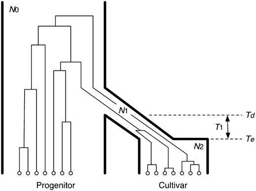 The demographic model and parameters used in this study. A typical genealogy of samples from the progenitor and cultivar populations (species) is also illustrated. The underlying model was used twice: CWR vs. O. sativa ssp. indica and CWR vs. O. sativa ssp. japonica. See text for details.