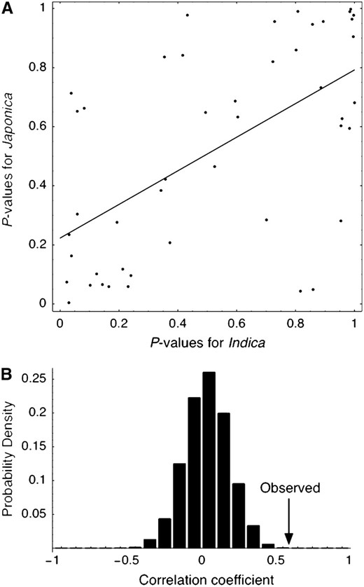 (A) Joint distribution of the P-values for the CWR vs. indica analysis and CWR vs. japonica analysis. The P-values are from Table 1 (i.e., q = 0.8 with the priors in materials  and  methods). The P-values from the two analyses are highly correlated (r = 0.59). (B) The null distribution of the correlation coefficient (r) under a neutral model of independent domestication. See text for details.