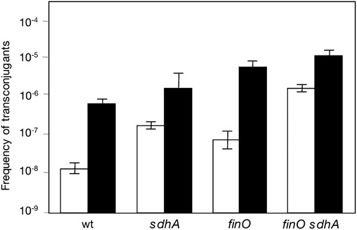 Effect of Sdh absence on conjugal transfer of pSLT under aerobiosis (open histograms) and under microaerobiosis (solid histograms). Donors were SV4201 (wild-type background), SZ122 (SdhA−), SV4522 (FinO−), and SZ123 (FinO− SdhA−). The recipient was SV3081 in all cases. Frequencies are averages and standard deviations from eight independent matings.