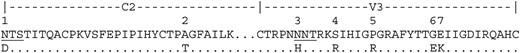The HIV-1 ADA C2 (partial) and V3 gp120 protein regions. Engineered mutations are numbered and shown below the sequence. Underlined residues are putative N-linked glycosylation motifs.