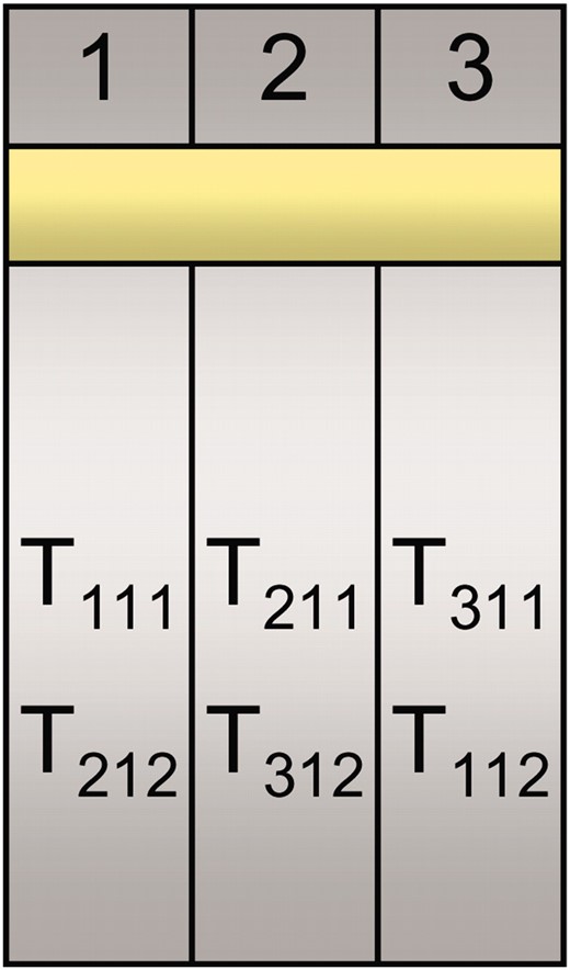 三个治疗组（T1、T2、T3）的平衡不完全区组设计（BIBD），每个治疗组（T11、T21、T31）一名受试者，每个治疗小组两个技术复制品（T111、T112、T211、T212、T311、T312）。片段化后，将三个样本中的每一个进行条形码编码并一分为二（例如，T11将被拆分为T111和T112），然后如图所示进行合并和测序（例如，T111与T212合并作为泳道1的输入）。