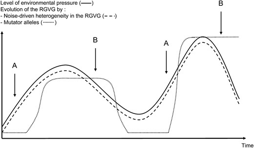 Comparison between noise-driven evolution of the RGVG and evolution of the RGVG through acquisition of mutator alleles in fluctuating environments. When environmental pressure fluctuates, heterogeneity in the RGVG among the population allows permanent selection of cells harboring the “just right” RGVG in the noise-driven hypothesis. In this case, evolution of the RGVG (dashed curve) perfectly fits with evolution of environmental pressure (solid curve). On the contrary, evolution of the RGVG in the mutator alleles model proceeds by abrupt jumps of the RGVG in the population from low to high values (dotted curve). The RGVG is never perfectly adapted to the level of environmental pressure. Before the appearance of a mutator allele (A), the RGVG remains low even if adaptative genetic modifications are already needed. If the mutator allele dominates in the population (B), it will produce high genetic variability longer than an increase in DRMG expression when environmental pressure lowers. Indeed, its genetic basis implies that counterselection is longer than for an epigenetic event.