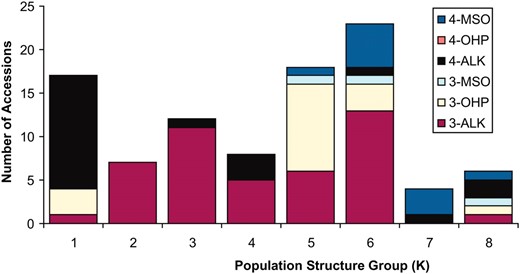 GSL distribution across population structure. The 96 A. thaliana accessions were grouped by their estimated population structure (1–8) as previously classified (Nordborg  et al. 2002, 2005). The accessions were labeled by their previously recognized chemotypes as generated by the combination of three GSL phenotypic outcomes of variation at AOP (alkenyl, hydroxyalkyl, and methylsulfinyl) and the two known GSL phenotypes from MAM (3C vs. 4C) (Kliebenstein  et al. 2001c). The chemotypes are labeled by their predominant glucosinolate; 4-MSO accumulates 4-methylsulfinylbutyl, 4-OHB accumulates 4-hydroxybutyl, 4-Alk accumulates But-3-enyl, 3-MSO accumulates 3-methylsulfinylpropyl, 3-OHP accumulates 3-hydroxypropyl, and 3-Alk accumulates allyl. The number of accessions in each of the six main GSL classes generated by AOP and MAM variation are shown for each of the eight subpopulation groups. The distribution is highly nonrandom (χ2, N = 95, P < 0.001).