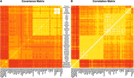 (A) A single draw from the posterior of the covariance matrix estimated for the HGDP SNPs of Conradet al. (2006). (B) The correlation matrix calculated from the covariance matrix shown in A. The matrices are displayed as heat maps with lighter colors corresponding to higher values. The rows and columns of these matrices have been arranged by broad geographic label.