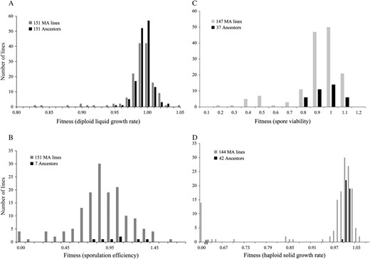 Fitness distributions of ancestor groups and MA lines at transfer 50. (A) Diploid liquid growth rate fitness for all 151 MA lines. (B) Sporulation efficiency for all 151 MA lines. (C) Spore viability for the 147 MA lines that sporulated. (D) Haploid solid growth rate fitness for the 130 MA lines that produced five complete tetrads.