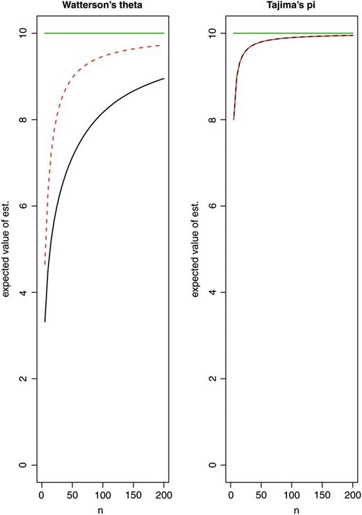 Expected value of the estimates obtained from pooled samples depending on the pool size n: Watterson's θ and Tajima's π. True value θ = 10 (green line). There is a considerable bias, if n is small compared to kλ, illustrating the need to use a bias correction with the estimates. Solid black line, λ = 30; red dashed line, λ = 5. (For Tajima's π, the bias does not depend on λ.)