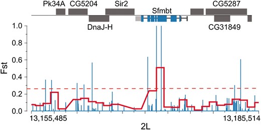Regions of high population differentiation localize within the Sfmbt gene on chromosome 2L. We plot individual-position FST (blue) and mean FST within 1-kb windows (red) across the chromosome. The red dotted line indicates FST cutoff for the top 2.5% of 1-kb windows. Individual genes are drawn across the top (black); exons are in blue, 3′-UTRs in light gray, and 5′-UTRs in dark gray.