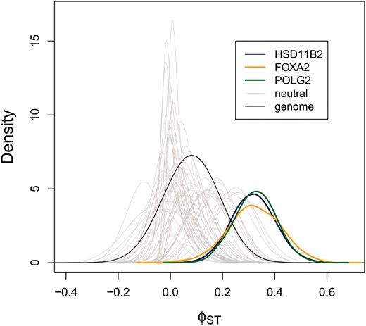 Locus-specific ϕST stimates for Africans and Europeans (SeattleSNPs data set). A point estimate of the genome-level ϕST distribution (based on the median from the posterior probability distributions of αST and βST) is denoted with a solid black line. The posterior probability distributions for the three outlier loci (colored lines) and 50 additional, randomly chosen genetic regions (gray lines) are also shown. These results are based on the first five SNPs in each gene; additional results are shown in Figure S3.