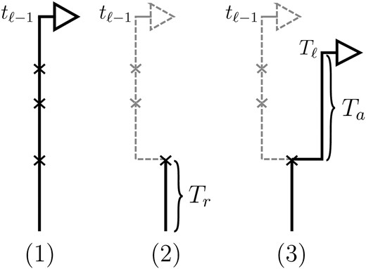 Illustration of the (Markov) process for sampling the absorption time Tℓ given the absorption time Tℓ−1 = tℓ−1. In step 1, recombination breakpoints are realized as a Poisson process with rate ρb/2 on the marginal conditional genealogy with absorption time tℓ−1. In step 2, the lineage branching from each breakpoint associated with locus ℓ−1 is removed, so that only the lineage more recent than the first breakpoint, at time Tr, remains. In step 3, the lineage branching from the first recombination breakpoint associated with locus ℓ is absorbed after time Ta distributed exponentially with rate n/2. Thus, Tℓ = Tr + Ta.