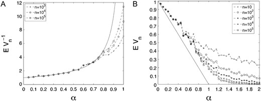 The largest clones in the population of cells. (A) A comparison between Monte Carlo estimates for EVn−1 and the limit (1−α)−1. (B) A comparison of the Monte Carlo estimates for EVn and the curve (1−α)+. The Monte Carlo estimates are averaged over 100 sample simulations.