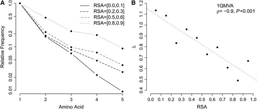 Variation from primary residue increases with RSA for sequences homologous to thioredoxin peroxidase (PDB identifier 1QMV, chain A). (A) Normalized frequencies of most common residues averaged over all sites in four different RSA bins. (B) The exponential parameter λ approximating these normalized distributions decreases linearly as RSA increases. The dashed line represents the fit of a linear function to the data.